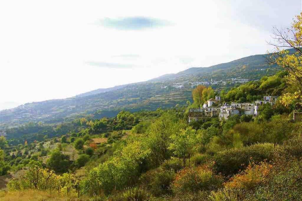 Вилла Casa Carmela, Rural House With Spectacular Views, In An Exquisite Area Атальбейтар Экстерьер фото
