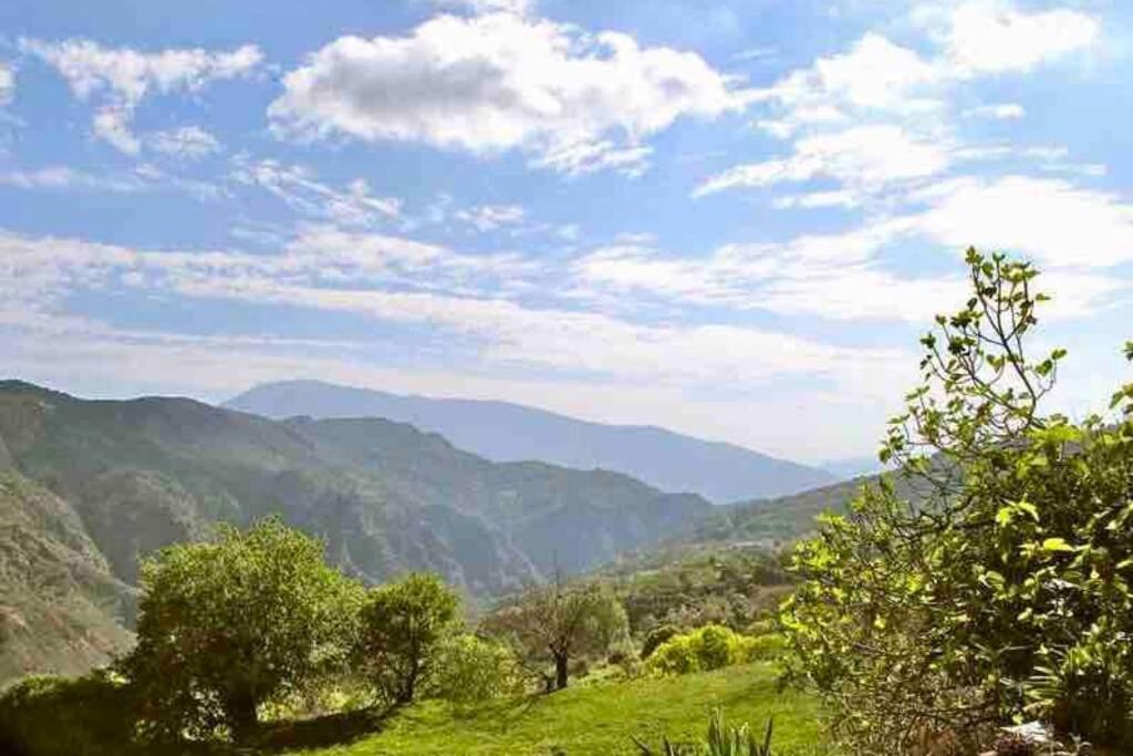 Вилла Casa Carmela, Rural House With Spectacular Views, In An Exquisite Area Атальбейтар Экстерьер фото